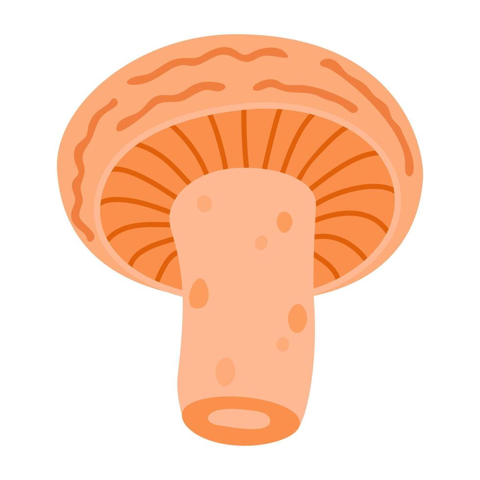 Saffron milk cap. Edible forest mushroom flat icon. Hand Drawn delicious milk cap cartoon style. Fungus Group Engraved. Red pine mushroom Isolated on white background. illustration vector