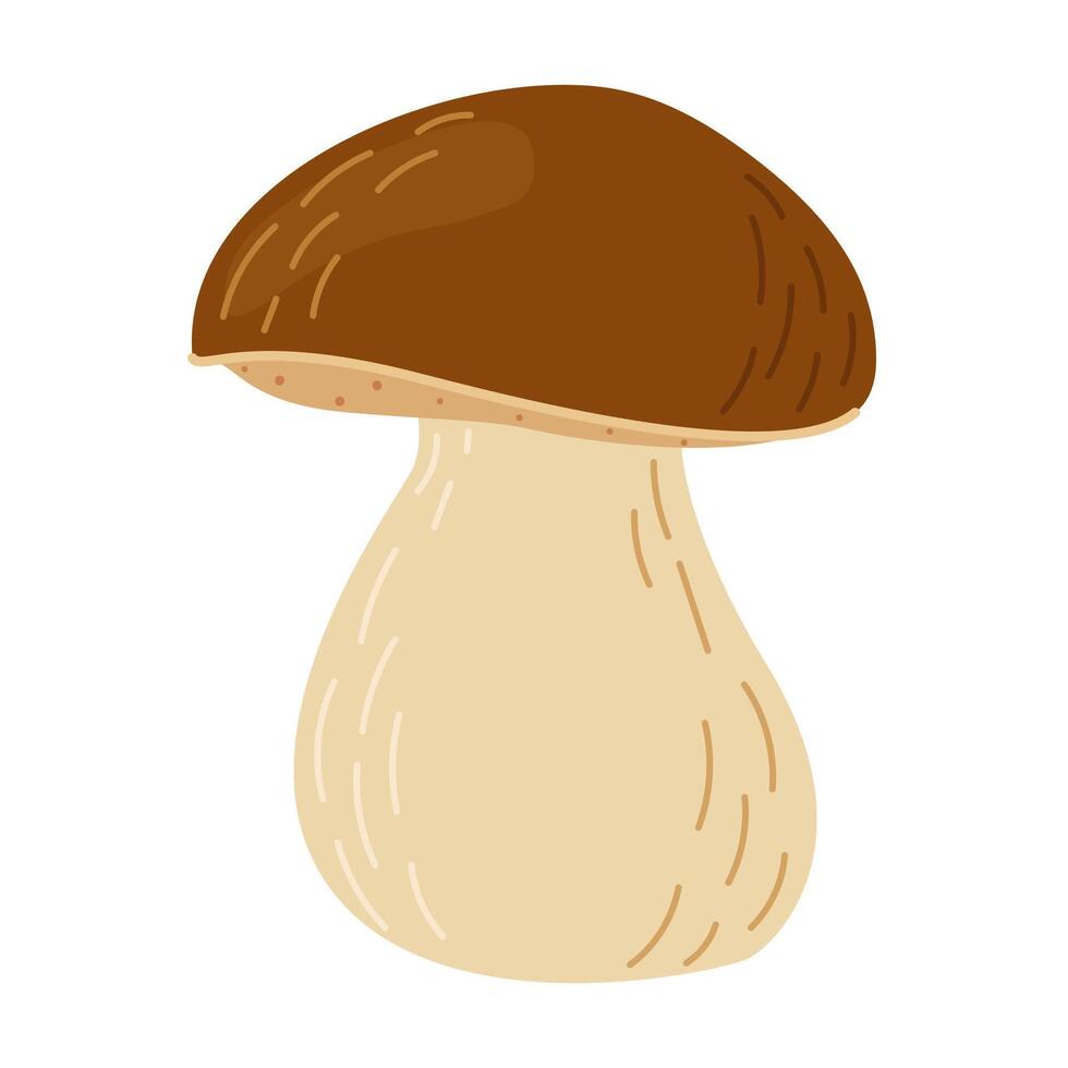 porcini bosque seta. mano dibujado boleto edulis hongo. porcini Fresco comestible hongos dibujos animados estilo decoración elemento. cep. Rey bolete en blanco antecedentes. centavo bollo ilustración vector