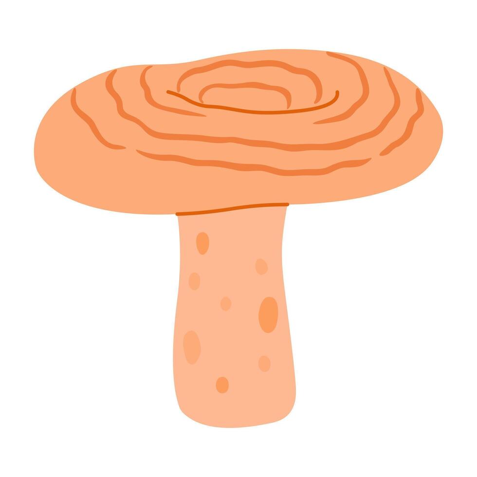 Saffron milk cap. Edible forest mushroom flat icon. Hand Drawn delicious milk cap cartoon style. Fungus Group Engraved. Red pine mushroom Isolated on white background. illustration vector