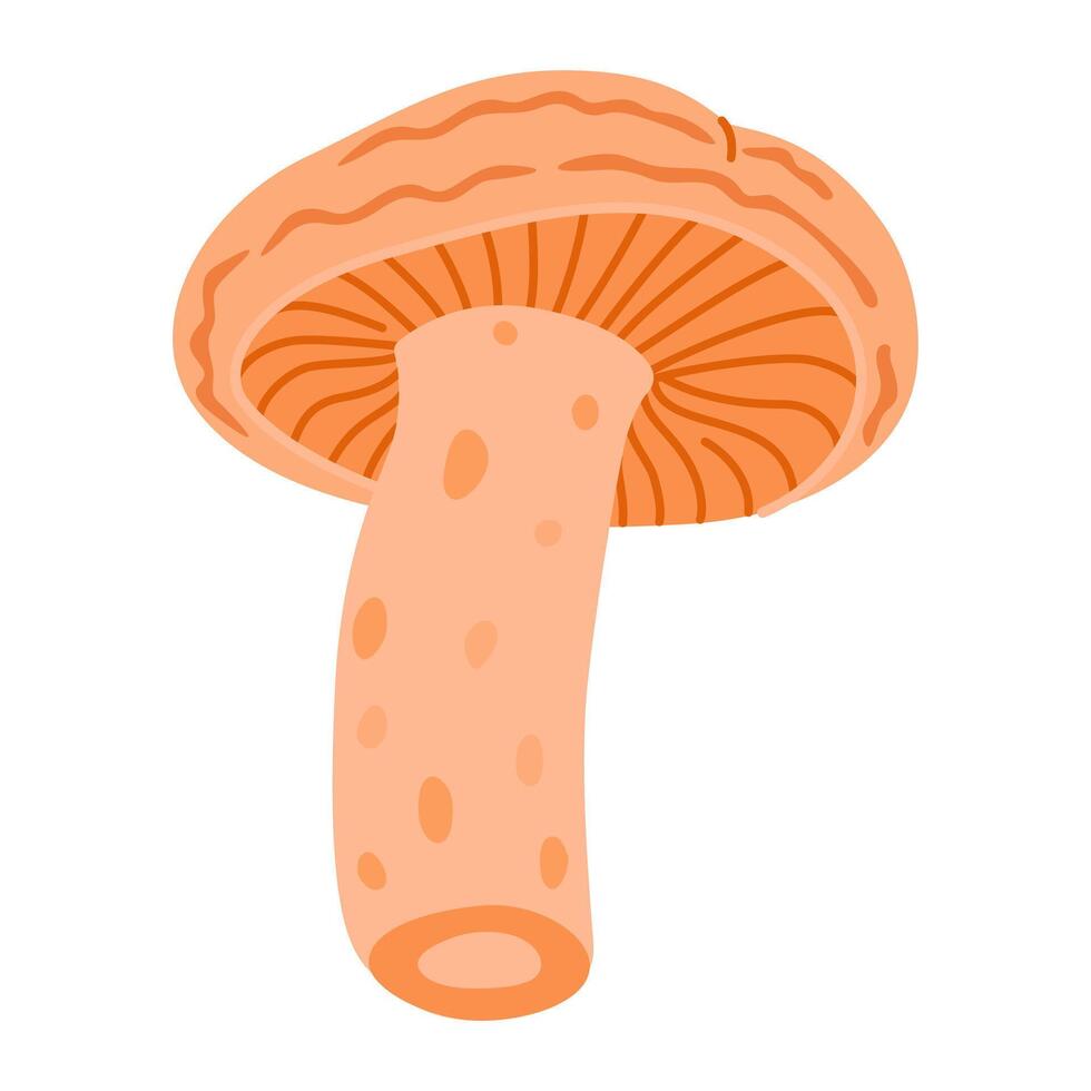 Saffron milk cap. Edible forest mushroom flat icon. Hand Drawn delicious milk cap cartoon style. Fungus Group Engraved. Red pine mushroom Isolated on white background. illustration vector