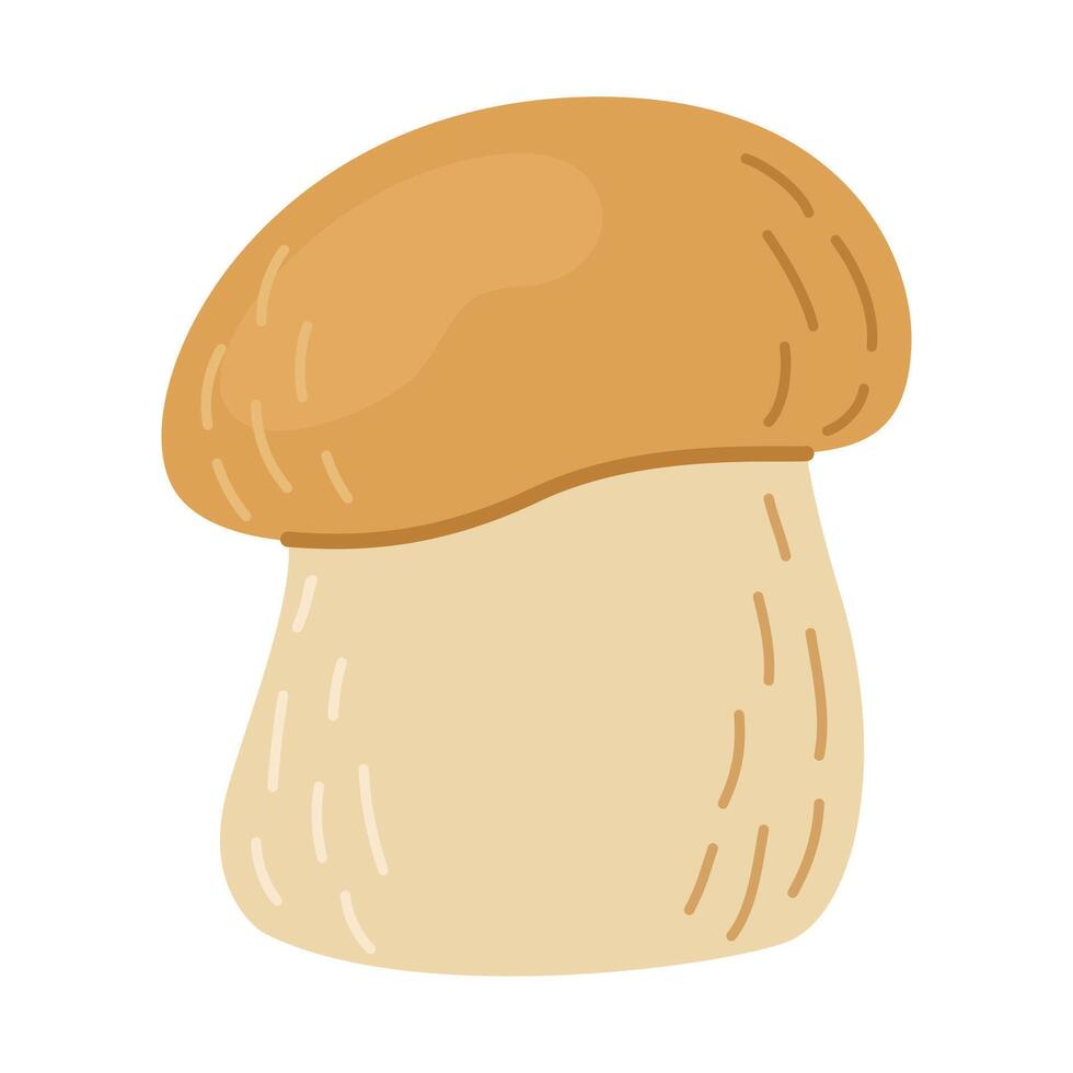 porcini bosque seta. mano dibujado boleto edulis hongo. porcini Fresco comestible hongos dibujos animados estilo decoración elemento. cep. Rey bolete en blanco antecedentes. centavo bollo ilustración vector