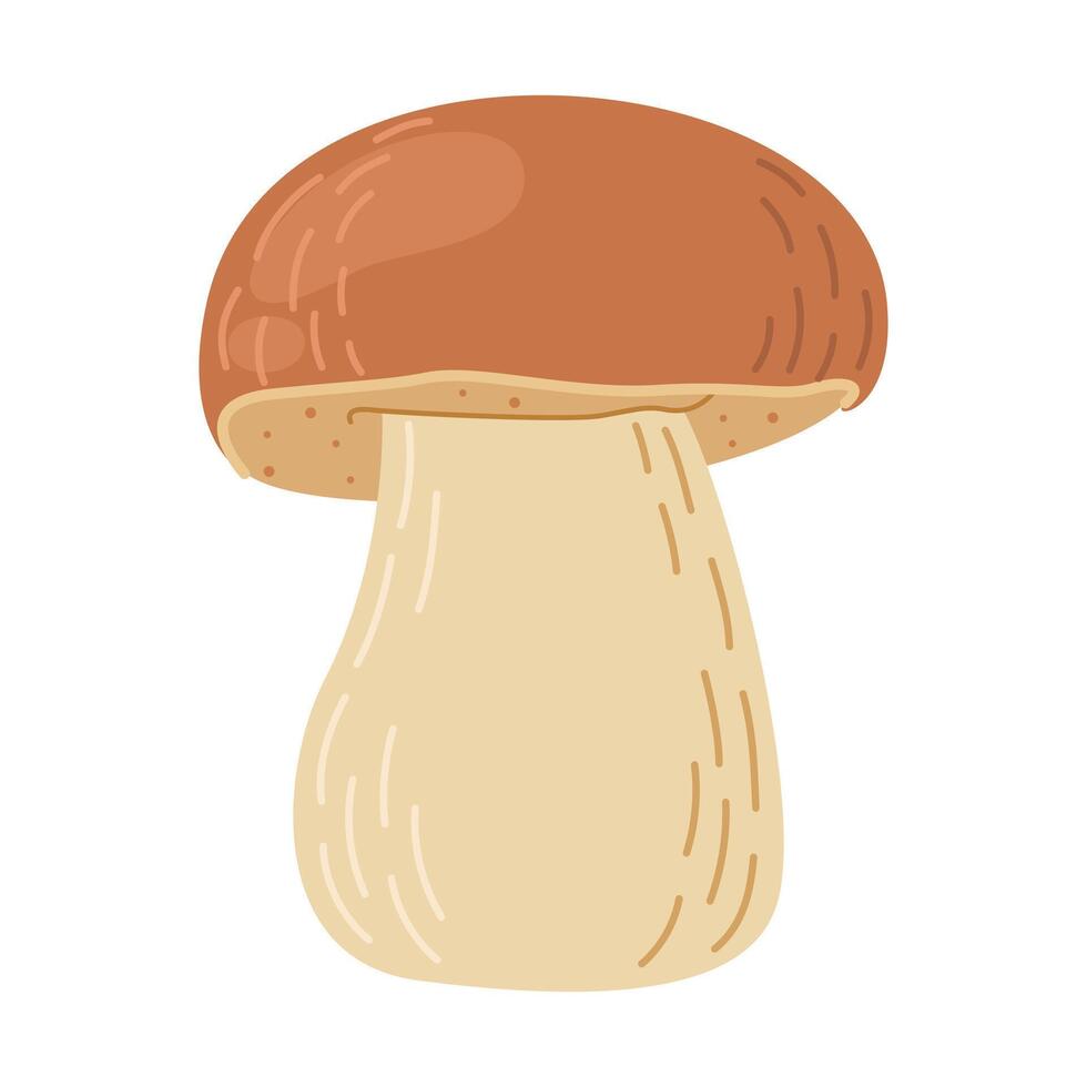 Porcini forest mushroom. Hand drawn boletus edulis fungus. Porcini fresh edible mushrooms cartoon style decor element. Cep. King bolete on white background. Penny bun illustration vector