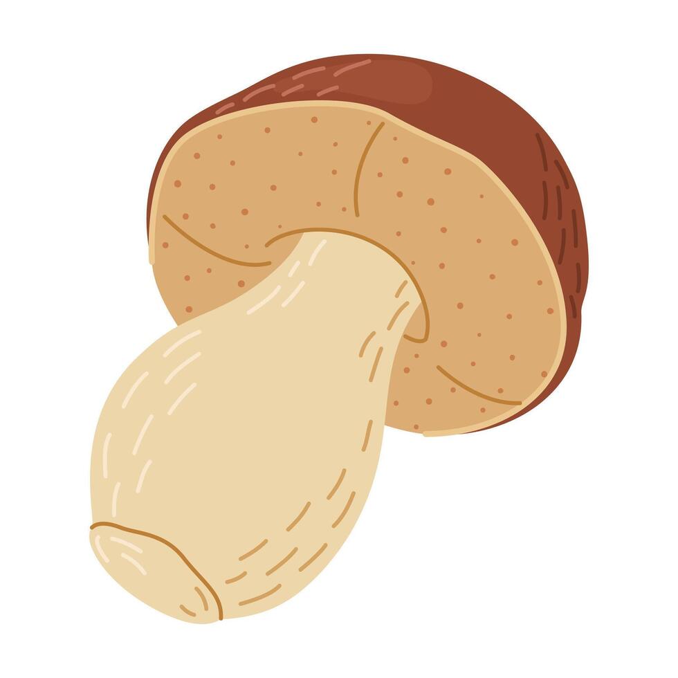 porcini bosque seta. mano dibujado boleto edulis hongo. porcini Fresco comestible hongos dibujos animados estilo decoración elemento. cep. Rey bolete en blanco antecedentes. centavo bollo ilustración vector