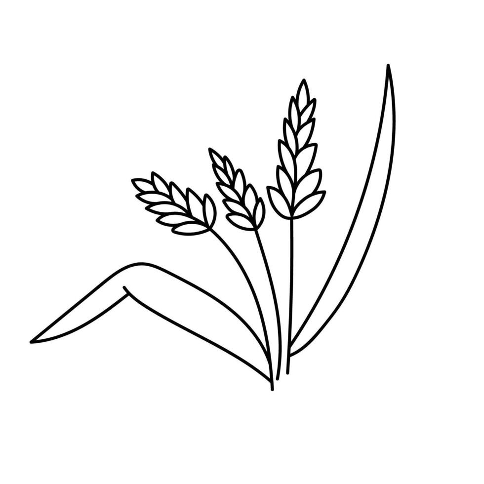 trigo, cereales en garabatear estilo. ilustración . vector