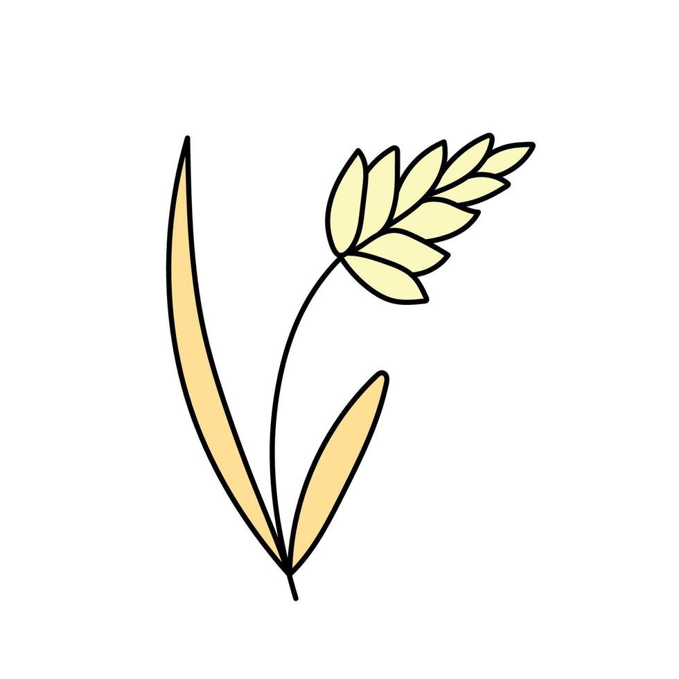 Wheat, cereals in doodle style. illustration . vector