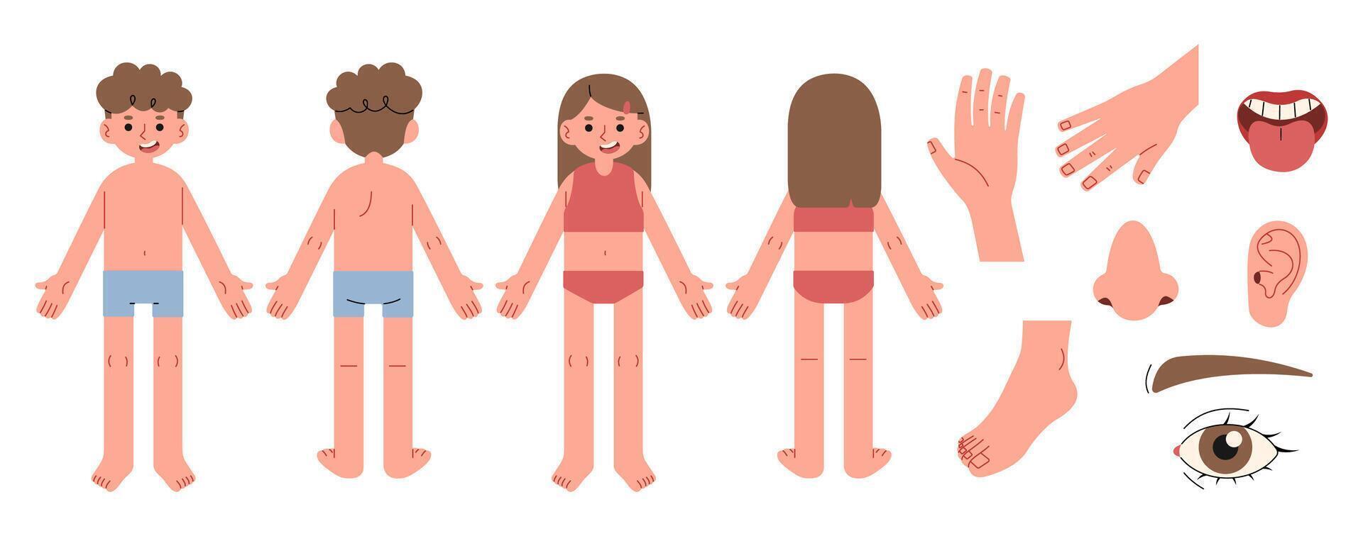 Body parts 3 cute on a white background, illustration. vector