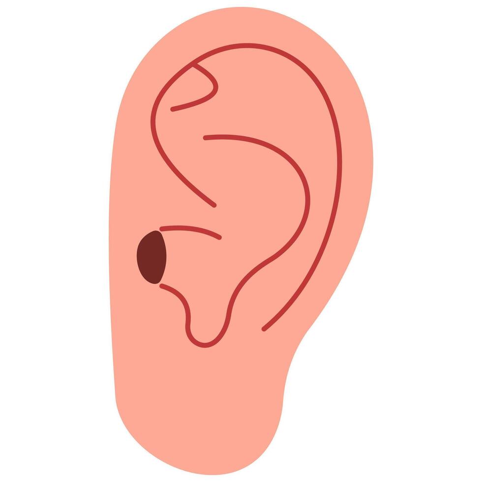 Ear cute on a white background, illustration. vector