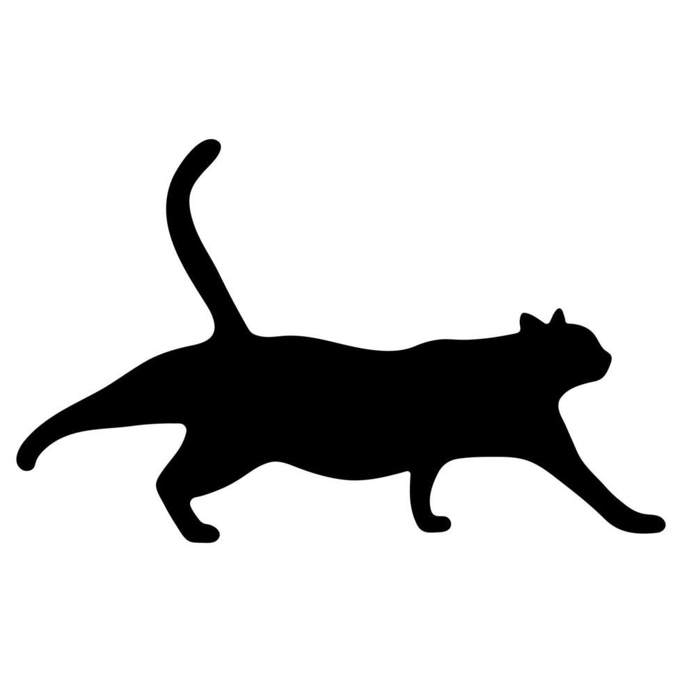 Cat shadow single 17 cute on a white background, illustration. vector