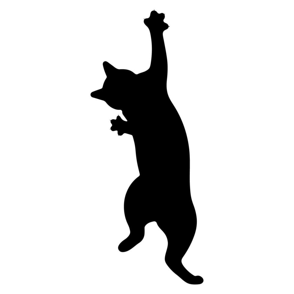 Cat shadow single 16 cute on a white background, illustration. vector