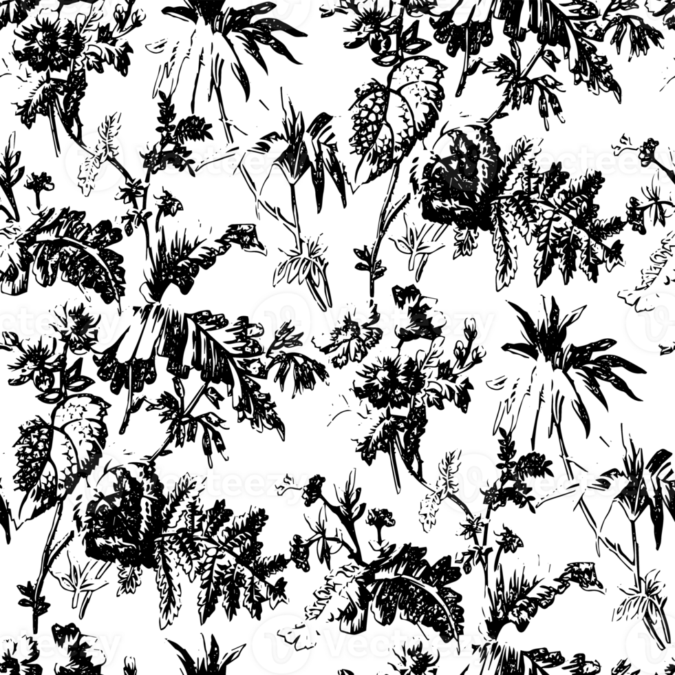 Rustic grunge texture with grain and stains. Abstract noise background. Graphic illustration with transparent background. png