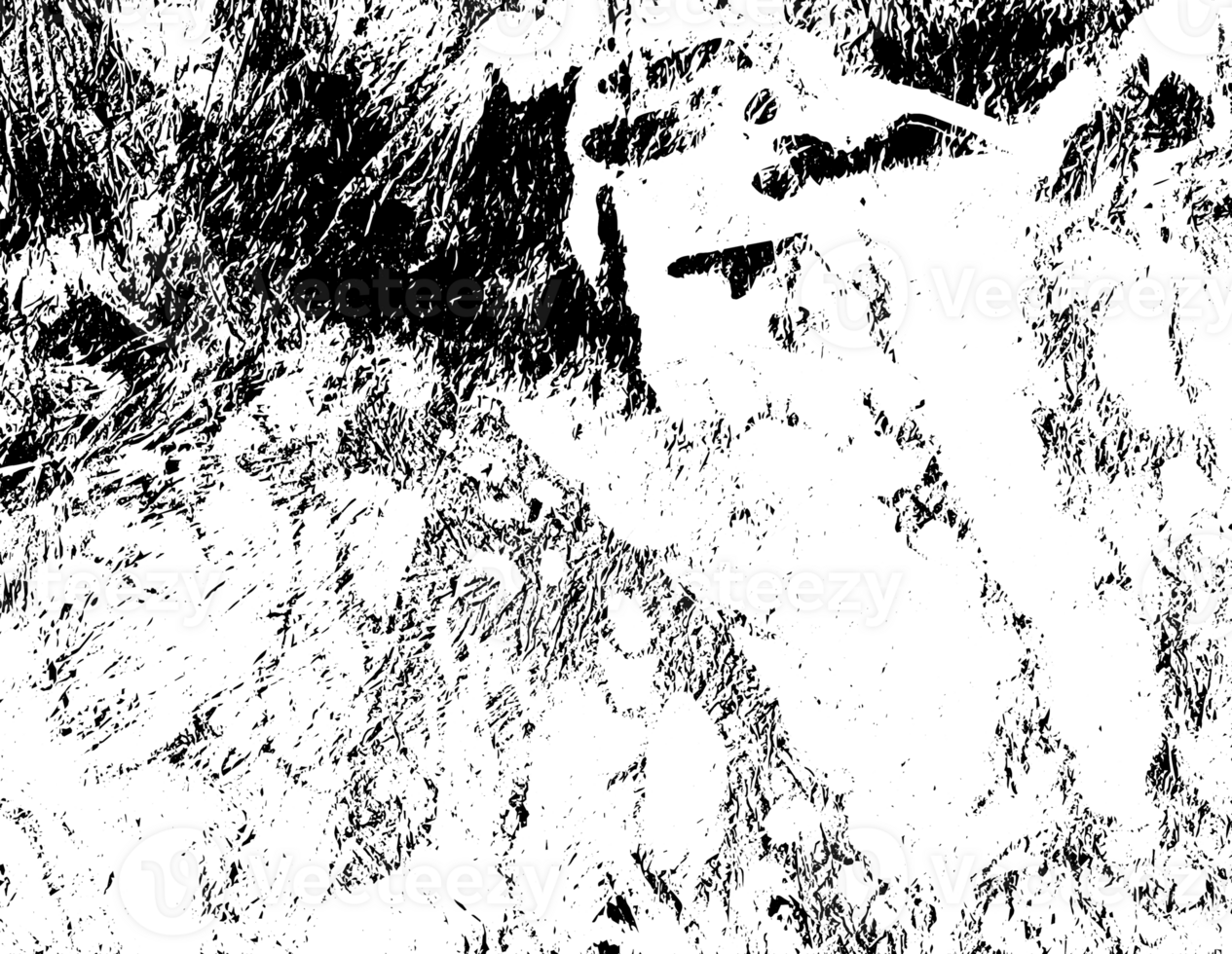 Rustic grunge texture with grain and stains. Abstract noise background. Graphic illustration with transparent background. png