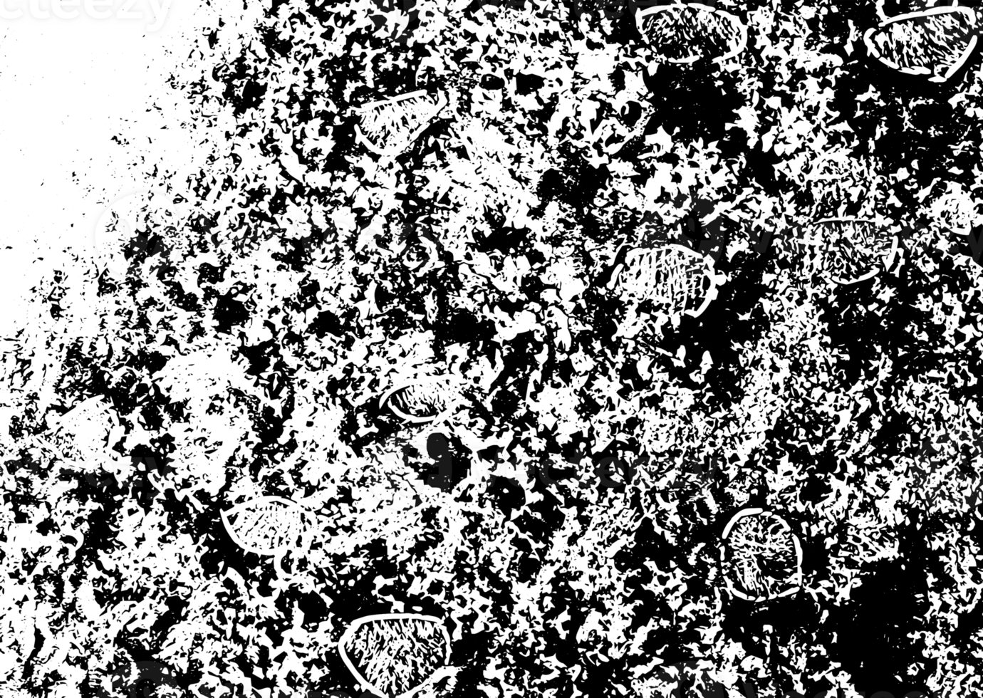 Rustic grunge texture with grain and stains. Abstract noise background. Graphic illustration with transparent background. png