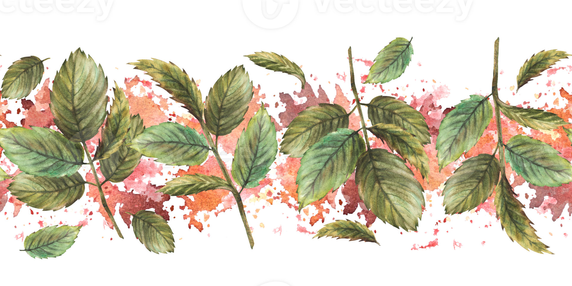 Roses lief or rosehip, briar, brier or dog rose green leaves seamless border, pattern on watercolor terracotta spotted background Hand drawn illustration for label, packing. Herbal clipart png