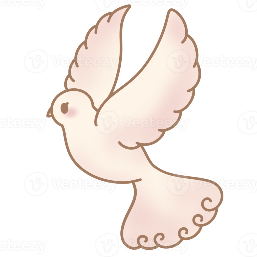 the white dove png