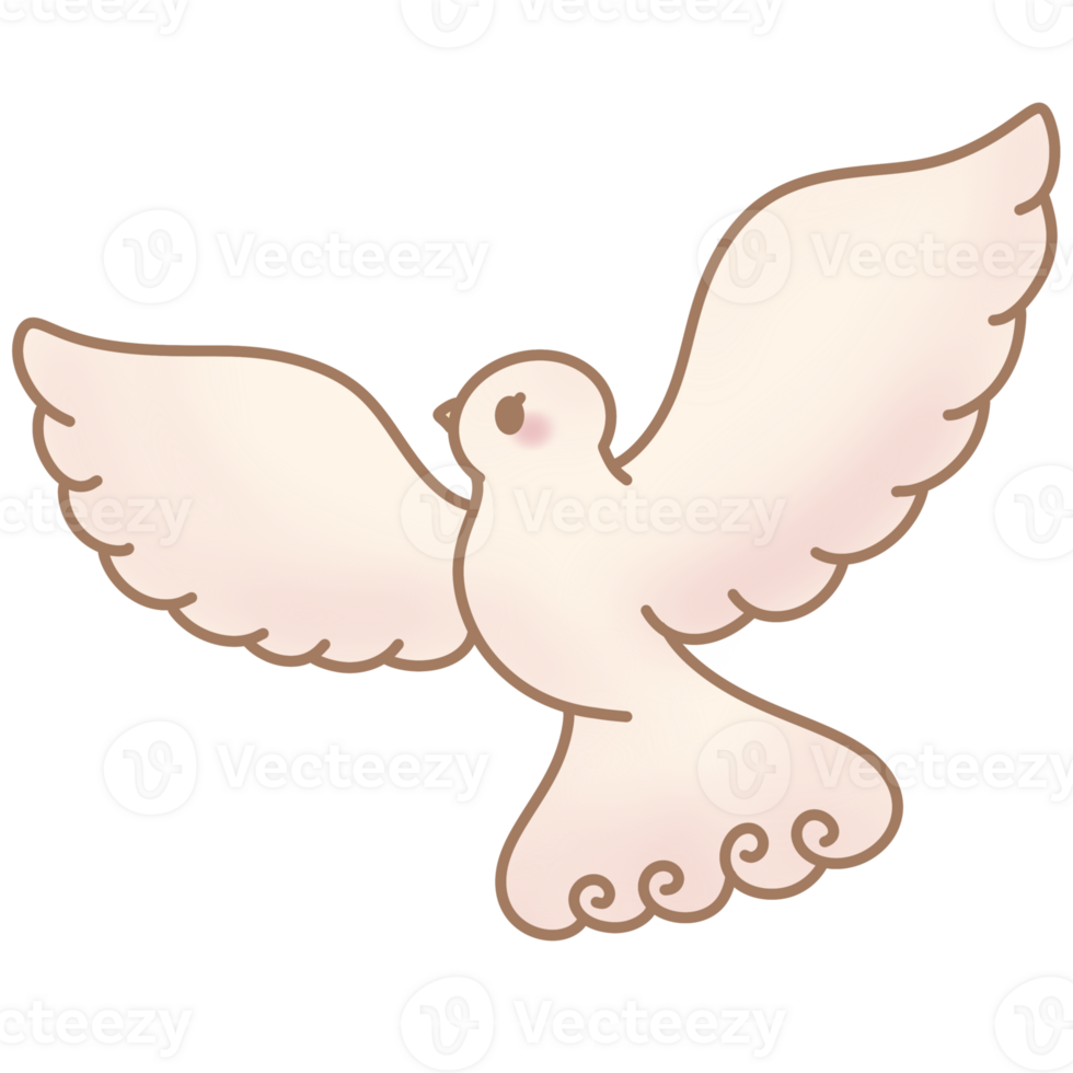 the white dove png