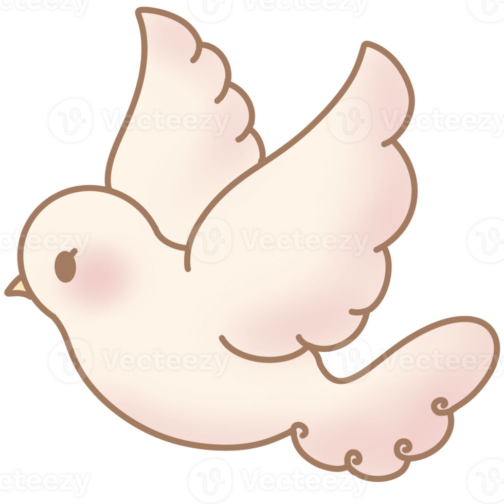 the white dove png