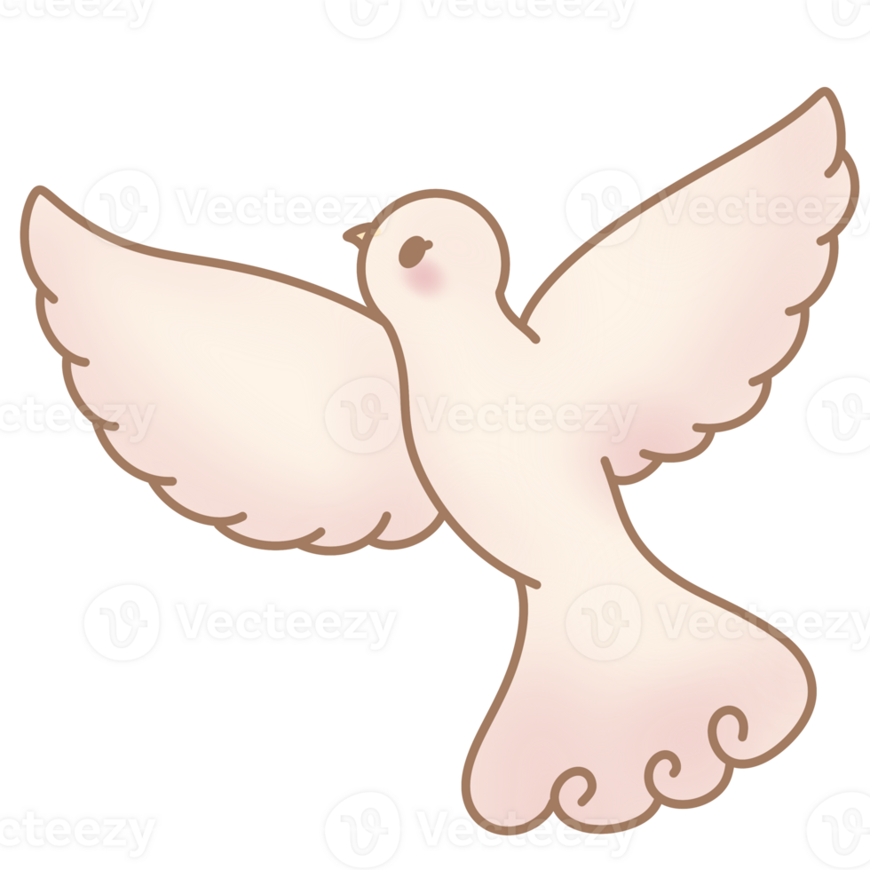 the white dove png