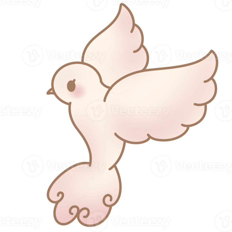 the white dove png