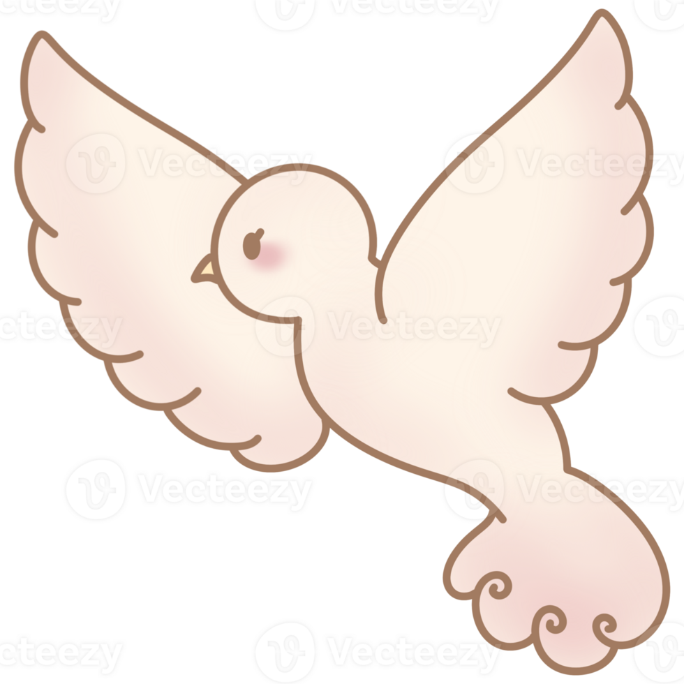 the white dove png