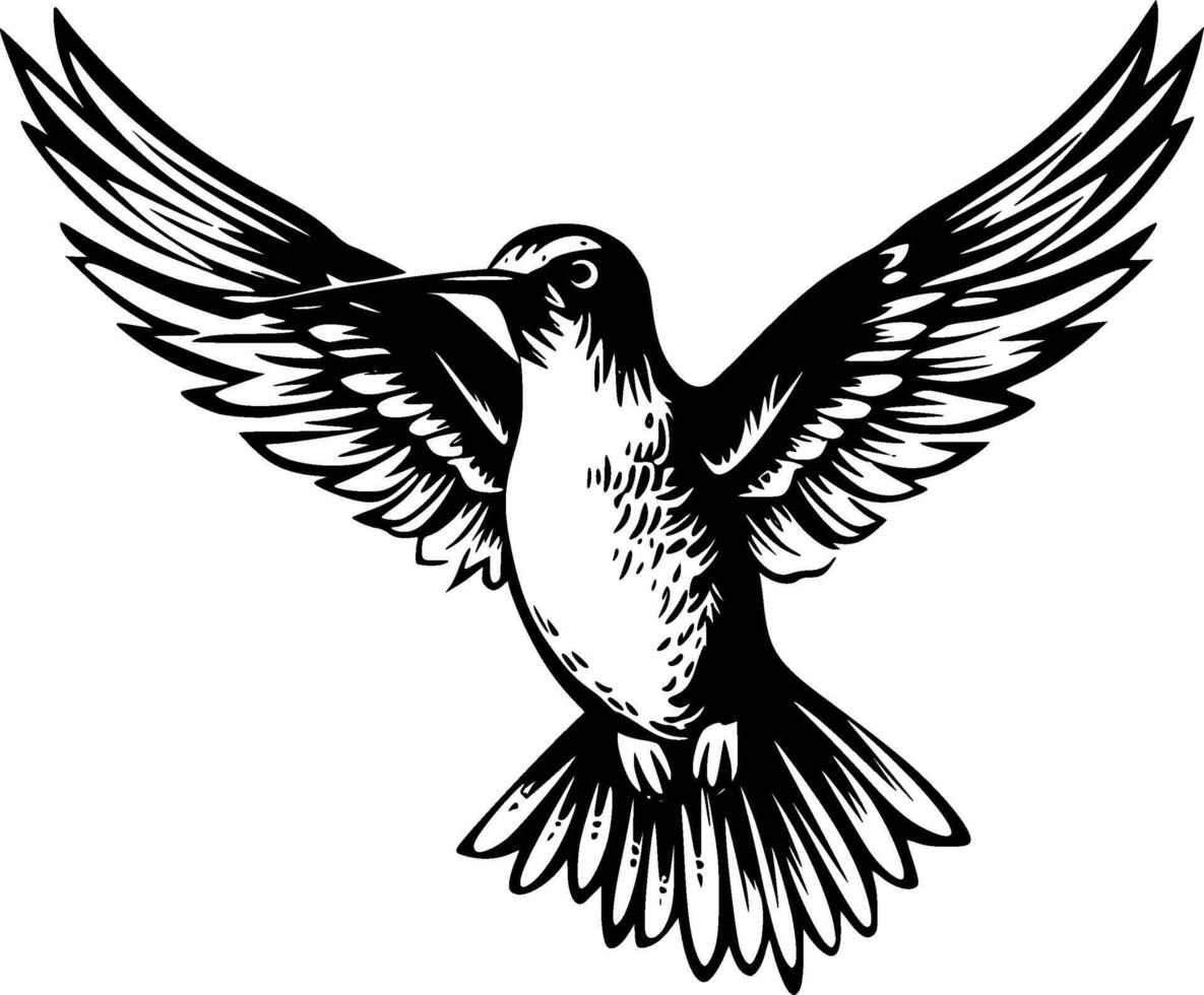 Hummingbird, Black and White illustration vector