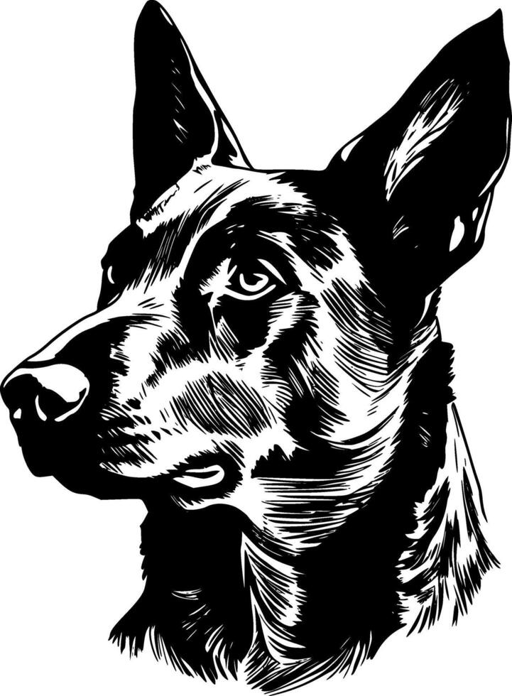 Australian Kelpie - Black and White Isolated Icon - illustration vector