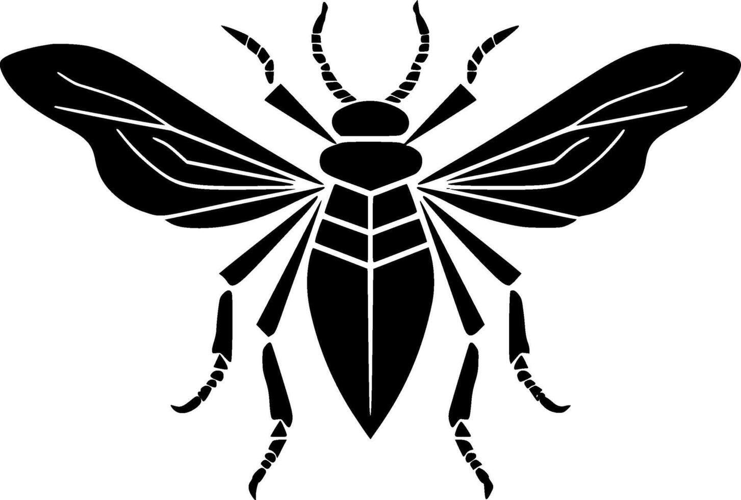 Beetle, Black and White illustration vector