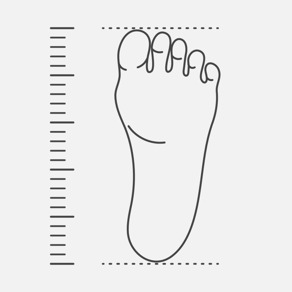 Foot size measurement for shoes line illustration vector