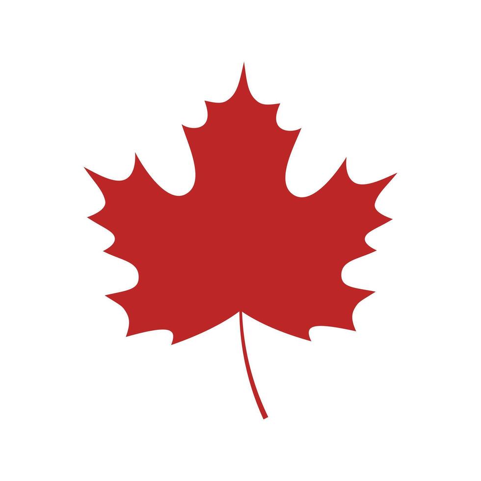 Single red maple leaf on white background. vector