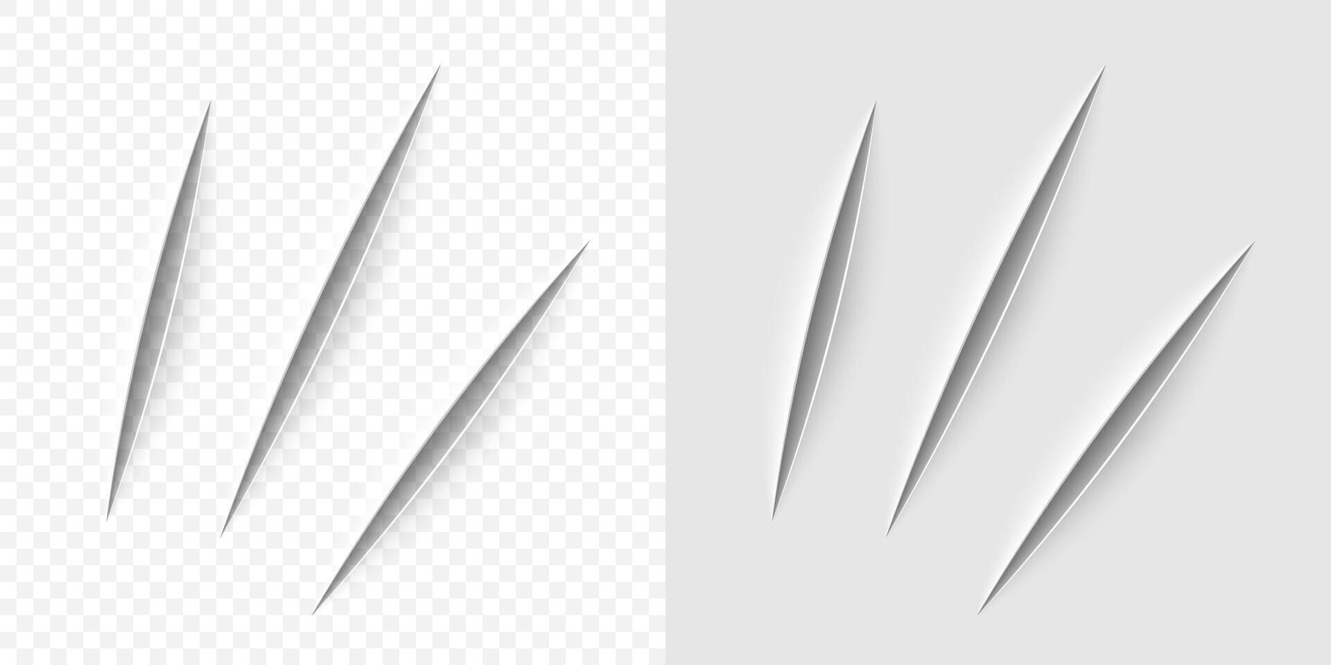 realistic cut with a office knife vector