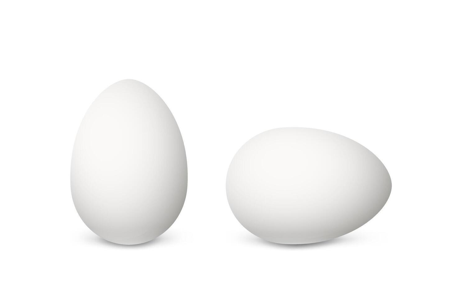 dos realista blanco huevos vector