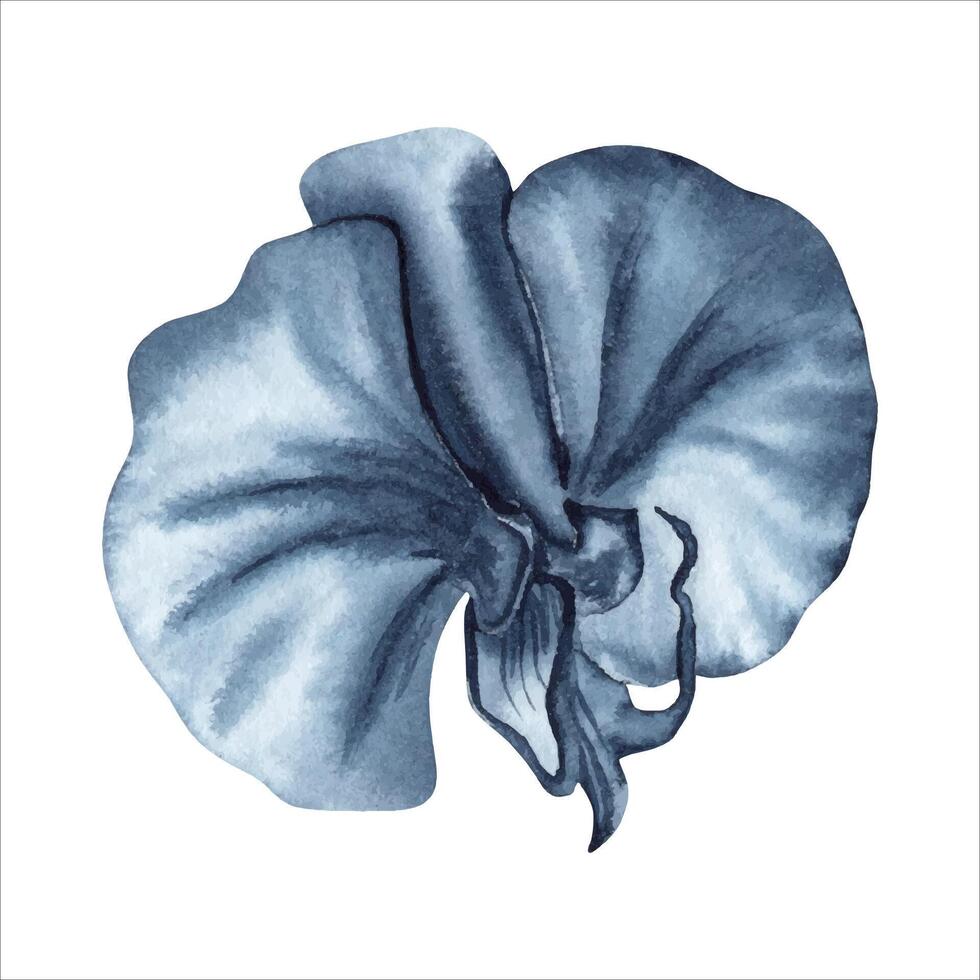 Blue orchid flower watercolor painting. Hand drawn illustration isolated on white background. Indigo monochrome floral element for fashion, beauty products, tattoos, dress patterns, plant card designs vector