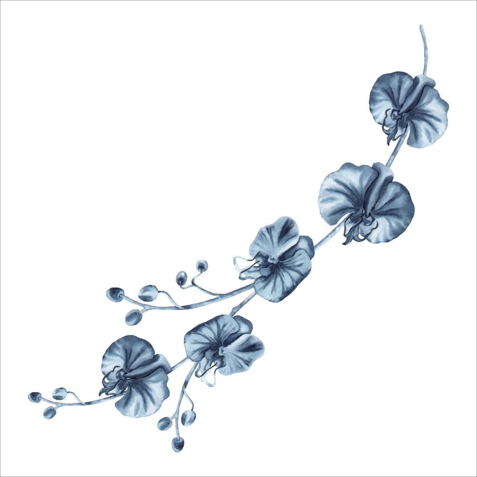 Blue orchid flowers branch with buds. Watercolor hand drawn illustration isolated on white background. Indigo monochrome floral painting for fashion designs, prints, patterns, tattoos, floral cards vector