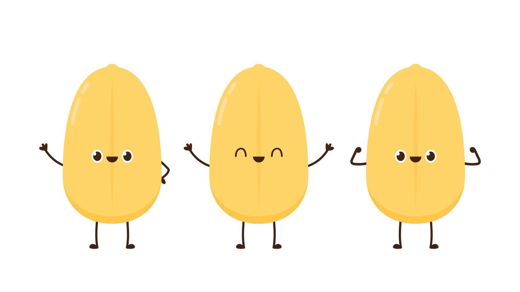 Rice character design. rice on white background. Paddy . vector