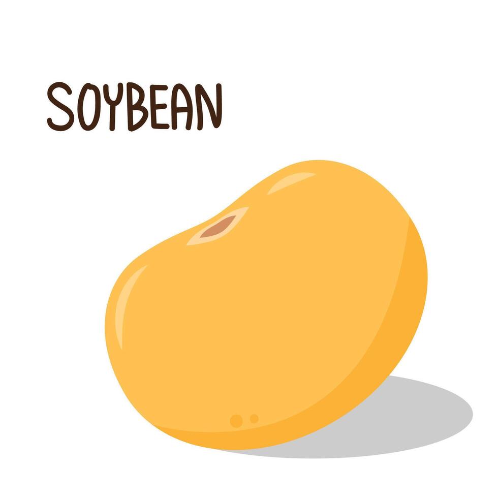 Soybean . Soybean character design. vector