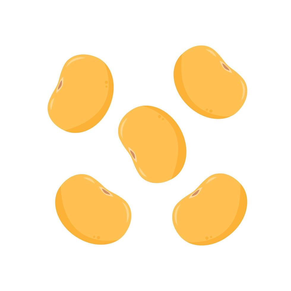 Soybean . Soybean character design. vector