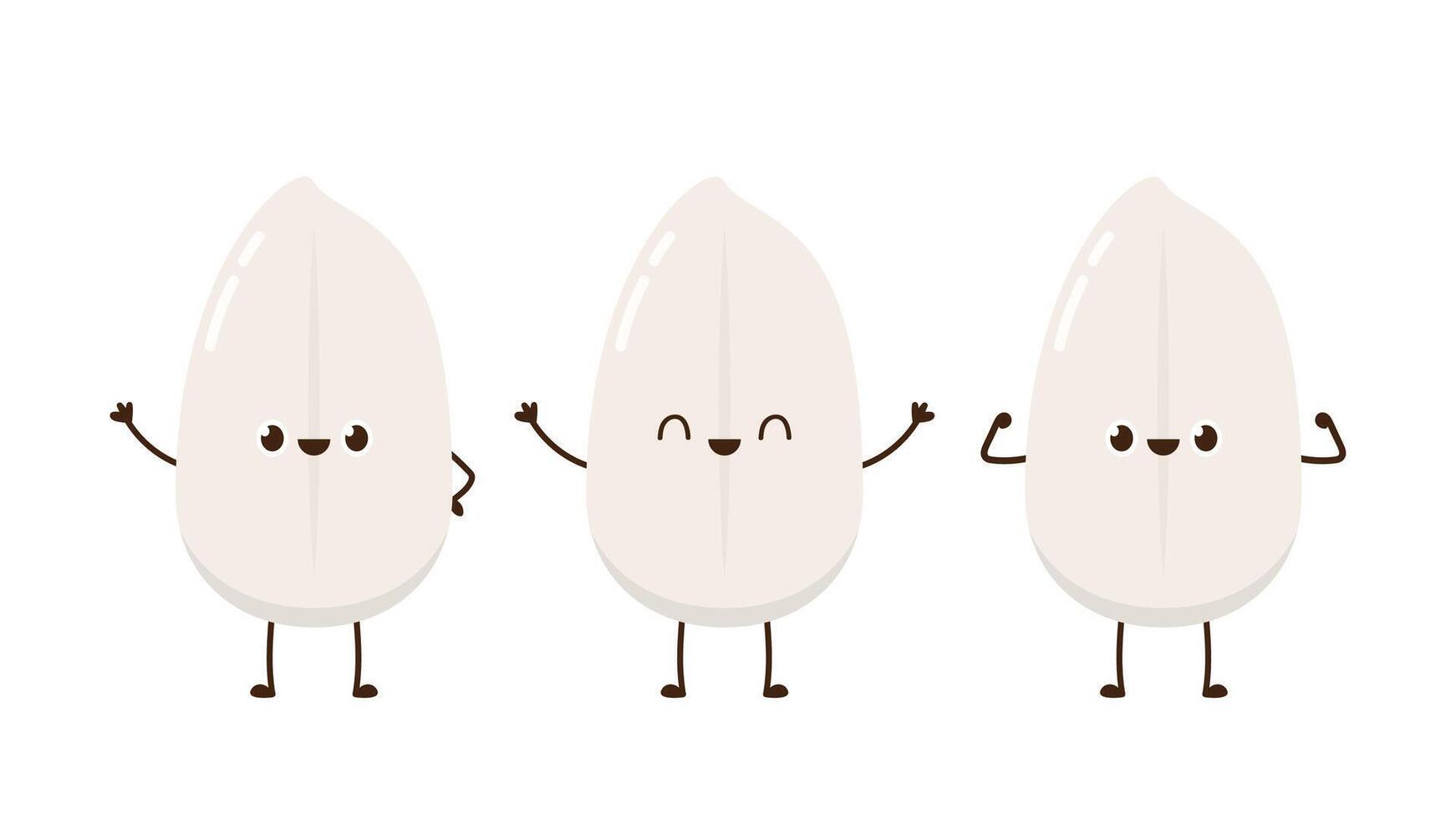Rice character design. rice on white background. Paddy . vector