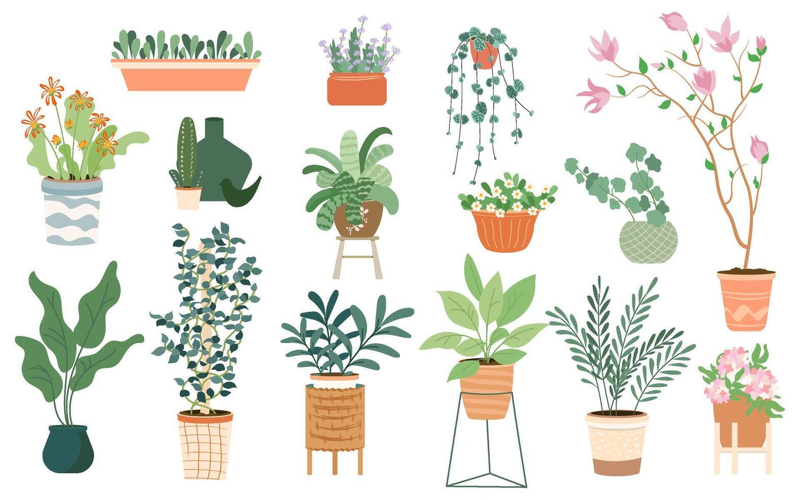 Trendy collection cute home plants in flower pots of different shapes on stands pack. Set of different indoor houseplants in pots modern illustrations. design elements isolated white background vector