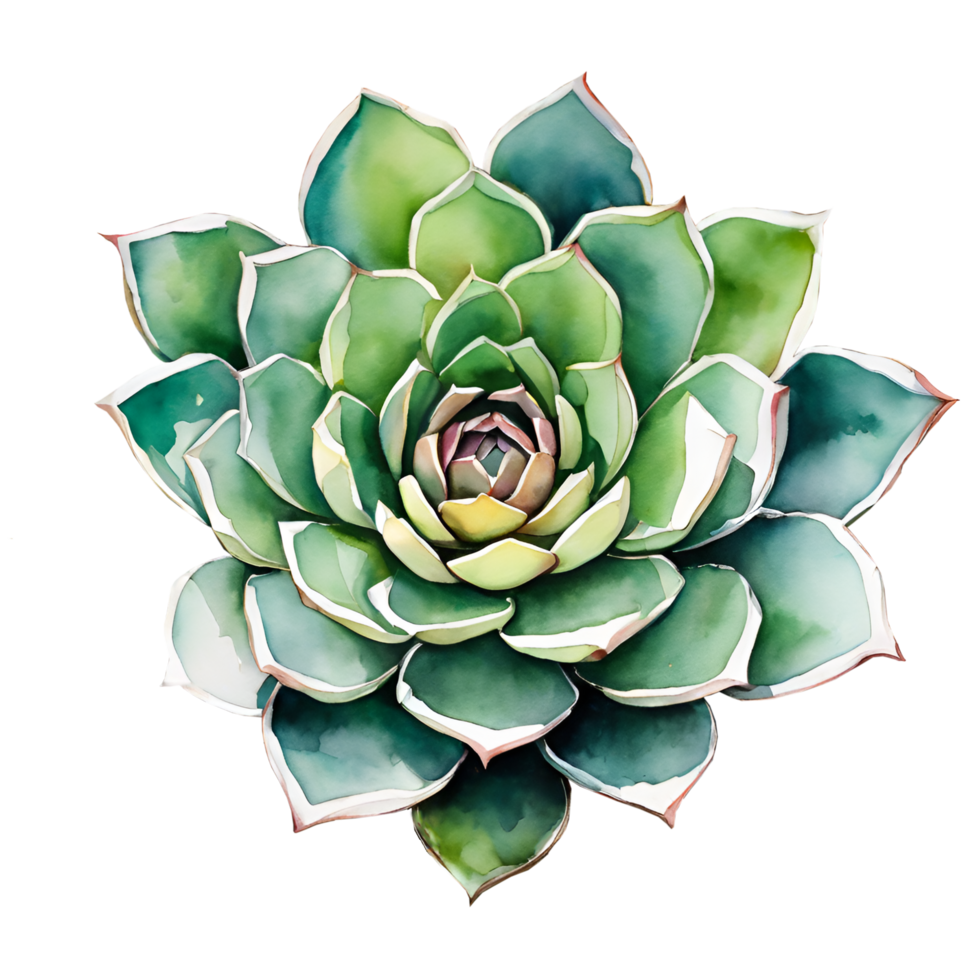 Watercolor and painting Blooming fresh Cactus and flowers succulent plant. AI-Generated png