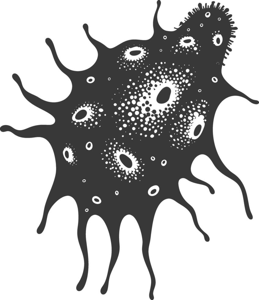 Silhouette amoeba animal black color only vector