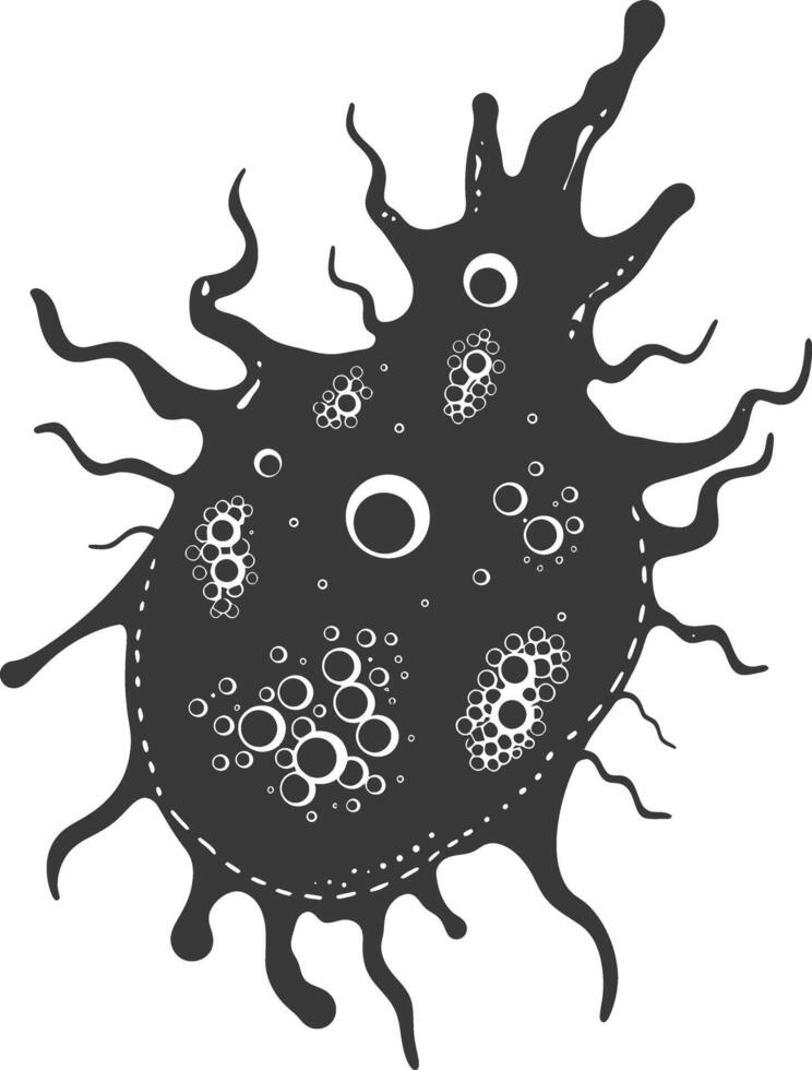 Silhouette amoeba animal black color only vector