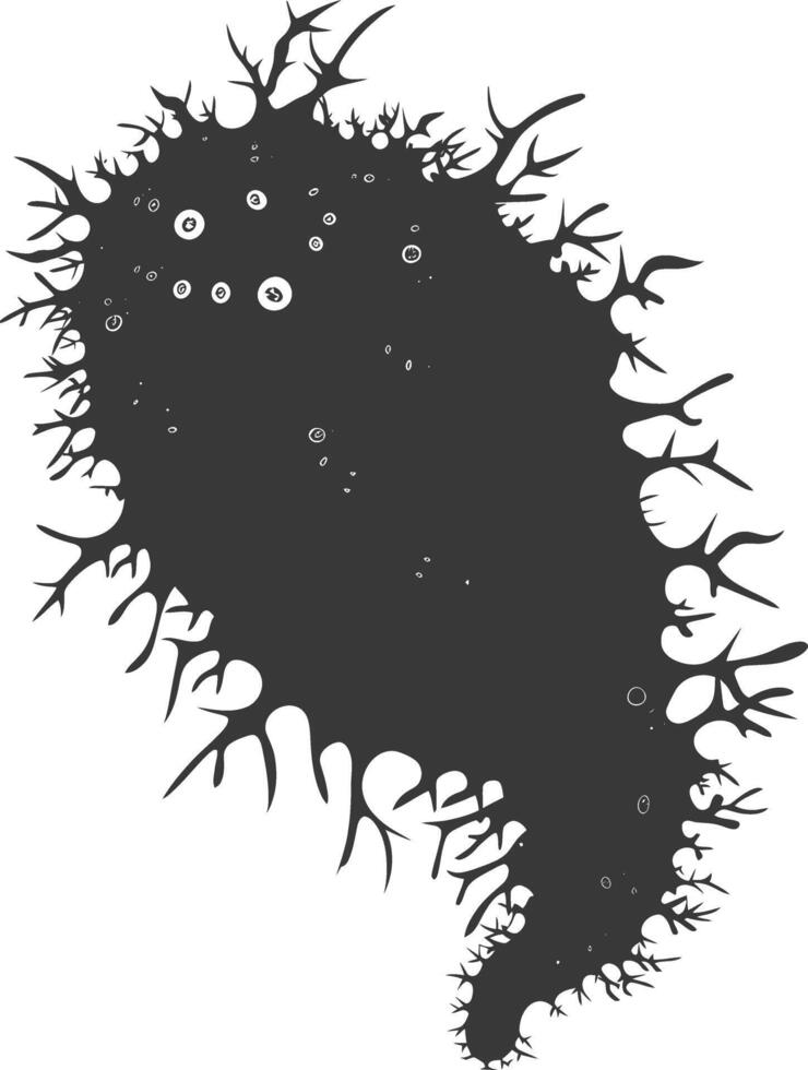 Silhouette amoeba animal black color only vector