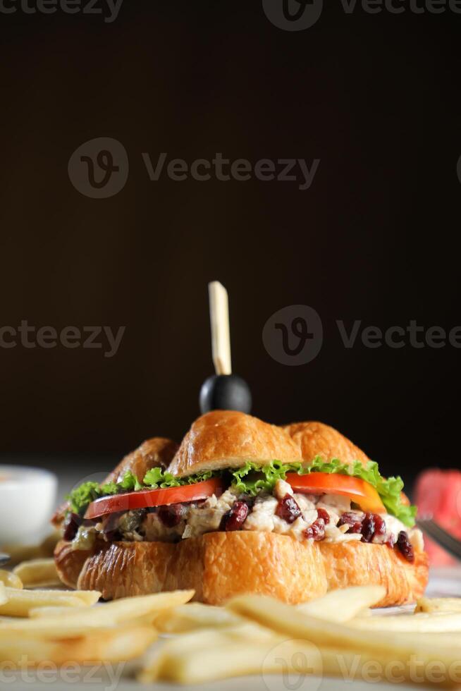 Harvest Chicken Sandwich with french fries and mayonnaise dip isolated on napkin side view of breakfast food photo