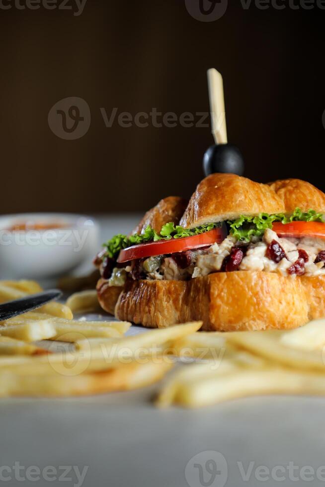 Harvest Chicken Sandwich with french fries and mayonnaise dip isolated on napkin side view of breakfast food photo