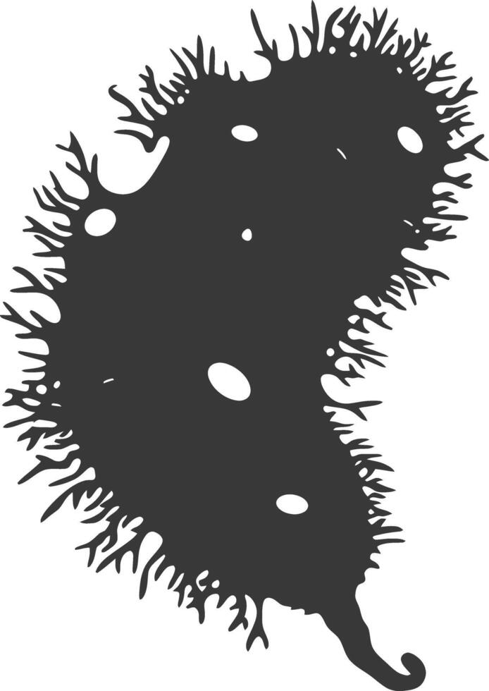 Silhouette amoeba animal black color only vector