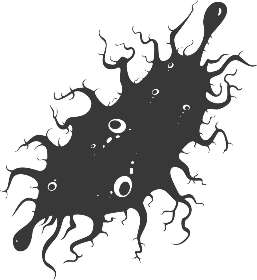 Silhouette amoeba animal black color only vector