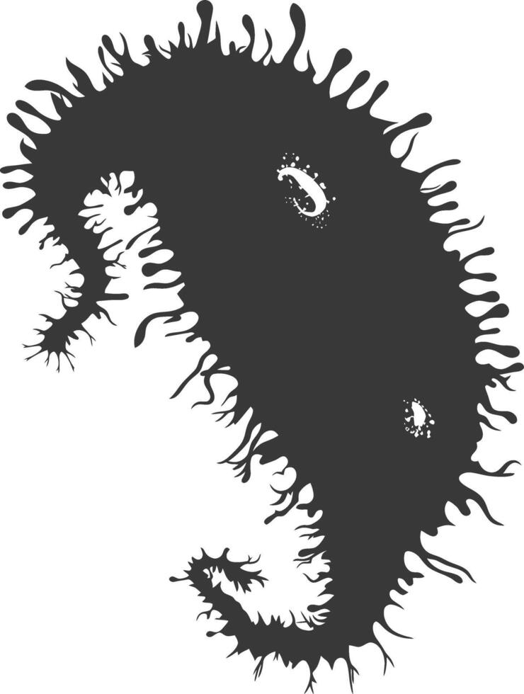 Silhouette amoeba animal black color only vector