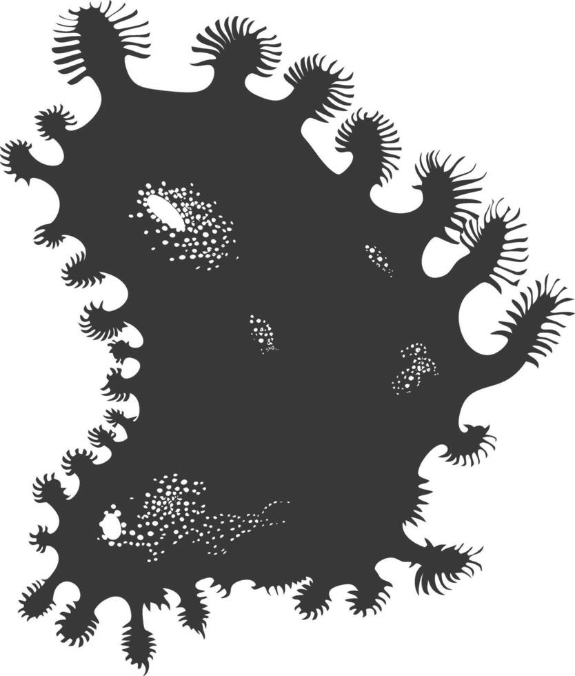 Silhouette amoeba animal black color only vector