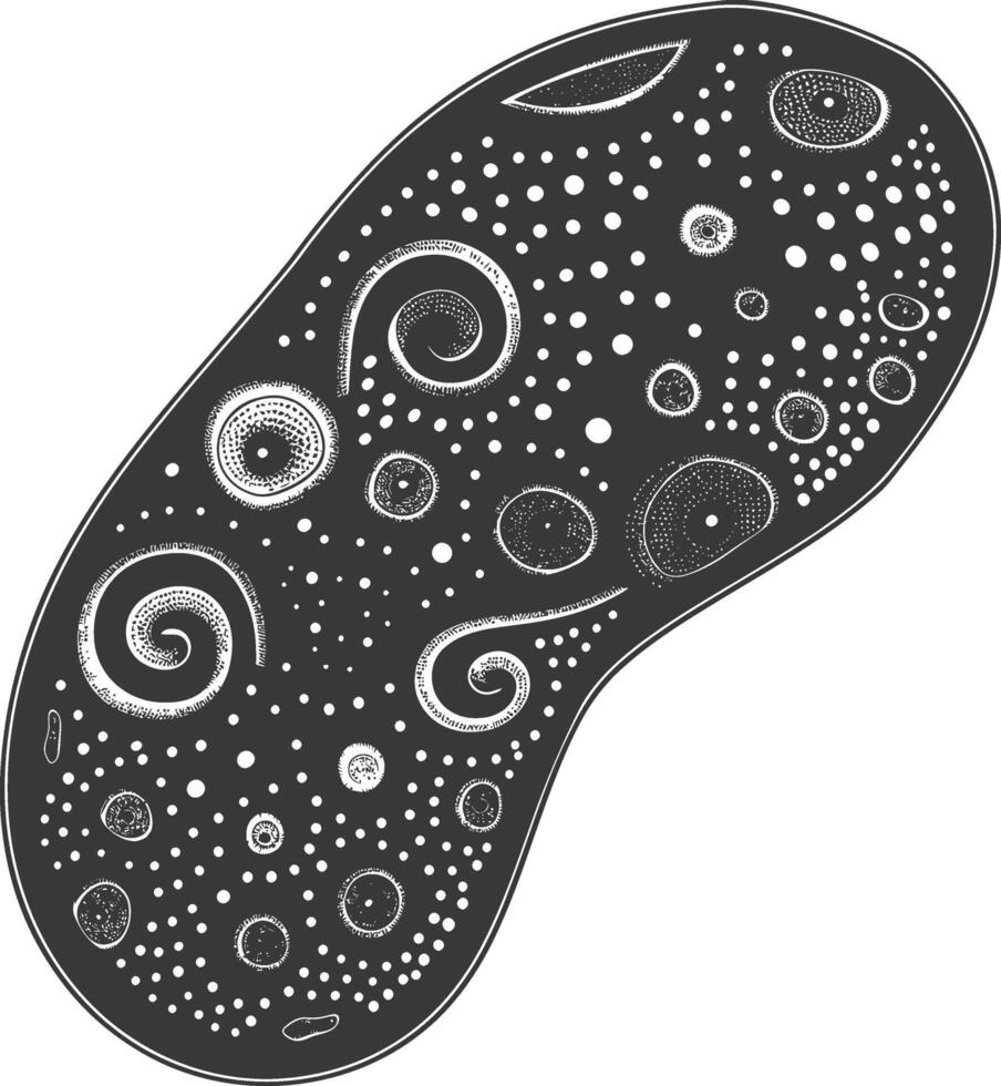 Silhouette amoeba animal black color only vector