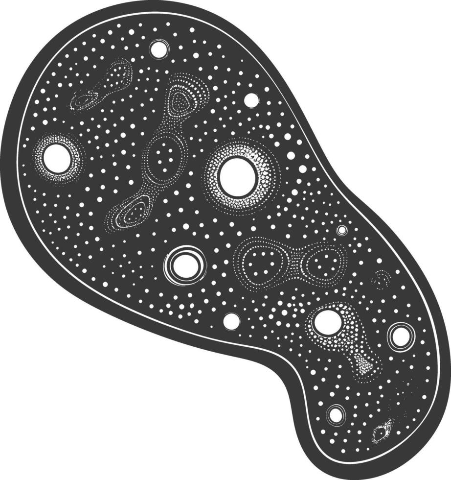 Silhouette amoeba animal black color only vector