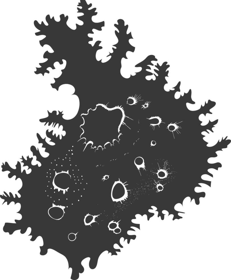 Silhouette amoeba animal black color only vector